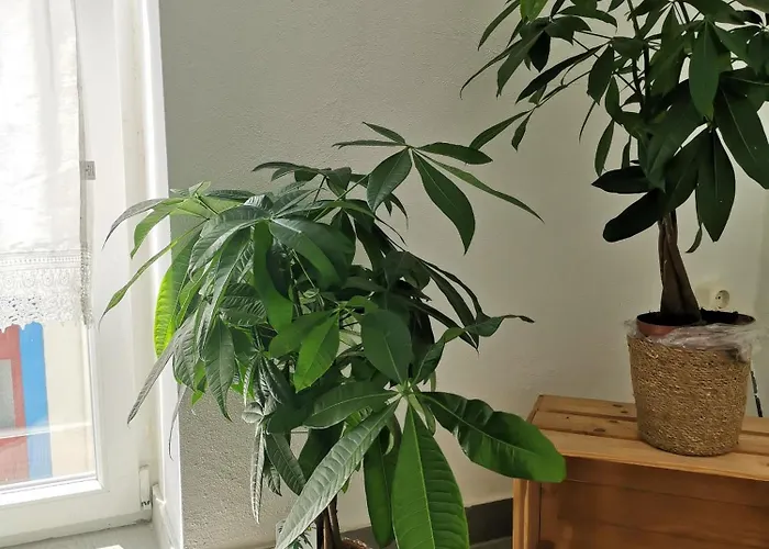 Old Town House アパート ロウリニャン