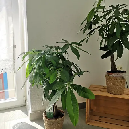 Old Town House Διαμέρισμα Lourinha (Lisbon)